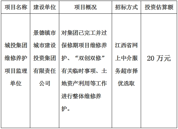 城投集團(tuán)維修養(yǎng)護(hù)項目監(jiān)理單位計劃公告